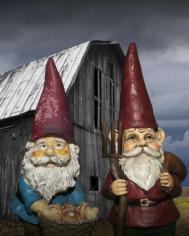 Gnome Gothic Photograph by Randall Nyhof