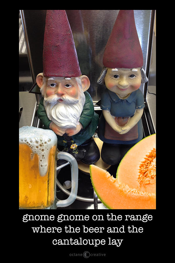 Gnome On The Range Poster Photograph by Tim Nyberg