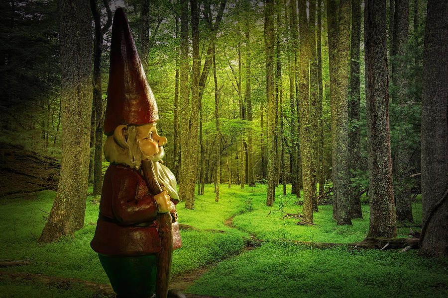 Gnome Traveler on a Forest Path bathed in sunlight Photograph by Randall Nyhof