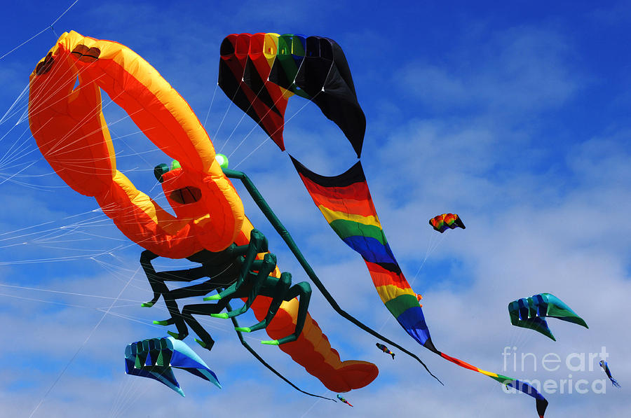 Go Fly A Kite 3 Photograph by Bob Christopher