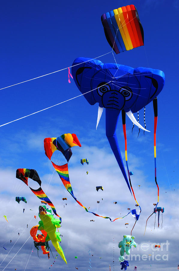 Long Beach Photograph - Go Fly A Kite 5 by Bob Christopher