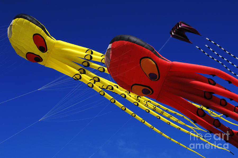 Go Fly A Kite 6 Photograph by Bob Christopher
