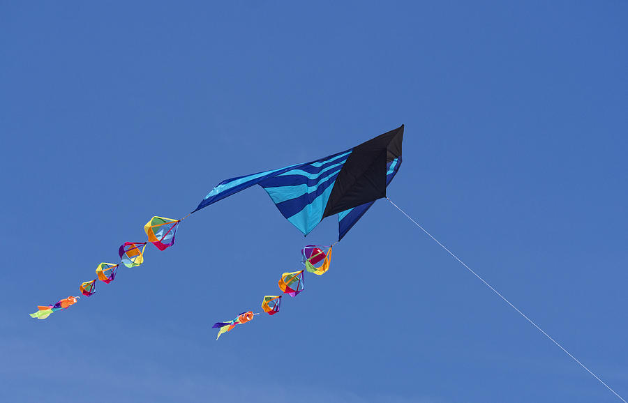 Go Fly a Kite Photograph by David Kay