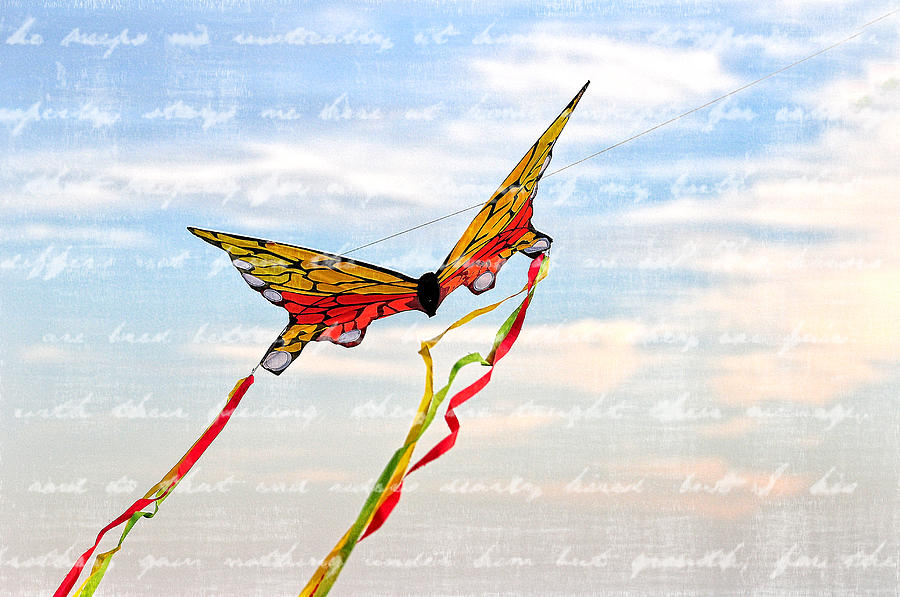 Go Fly a Kite Photograph by Melinda Dreyer