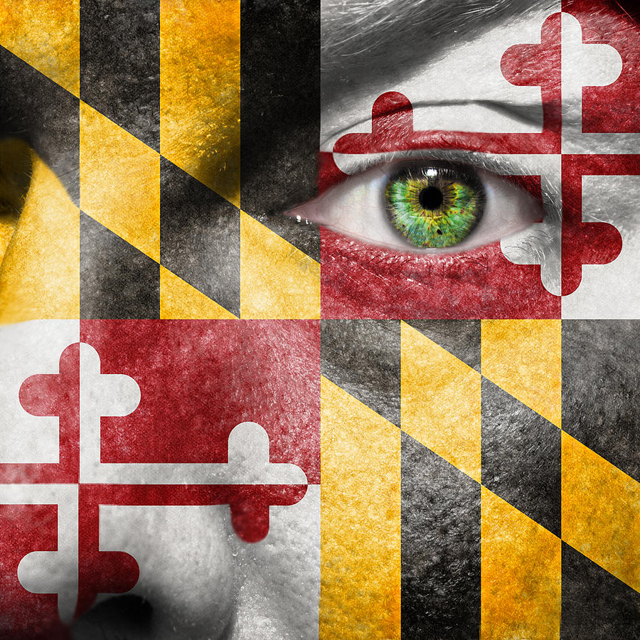 Go Maryland Photograph by Semmick Photo
