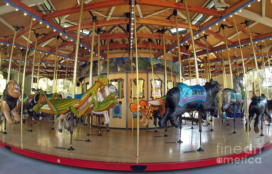 Merry Go Round Photograph - Go Round by Dan Holm Merry Go Round Photograph - Go Round by Dan Holm