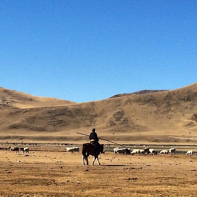 Mongolia Photograph - Go To The West. #nomade #people In by Ryoji Japan