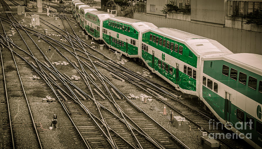 GO Train Photograph by Bianca Nadeau