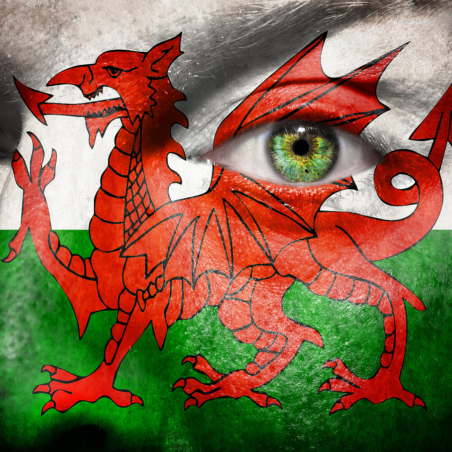 Sports Photograph - Go Wales by Semmick Photo