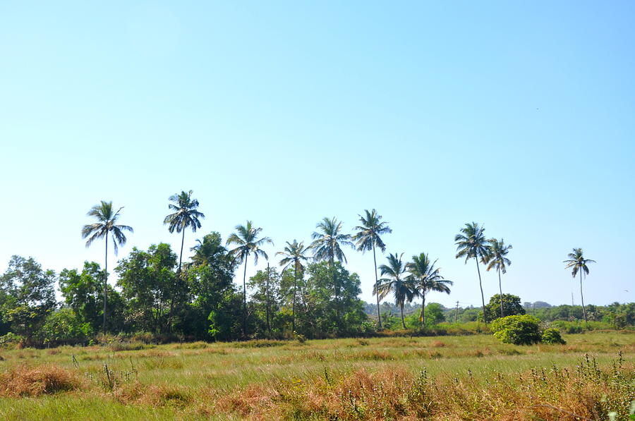 Goa Landscape Photograph By Eustaquio Santimano