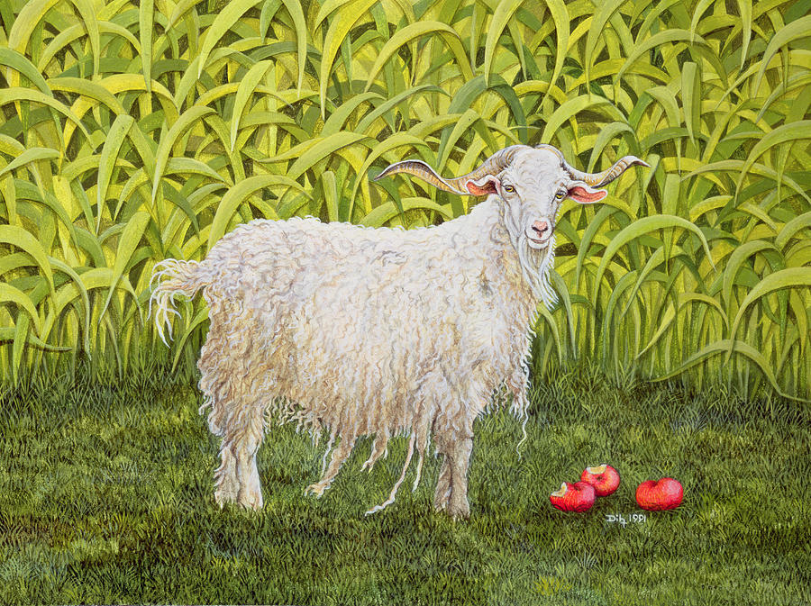 Apple Painting - Goat by Ditz