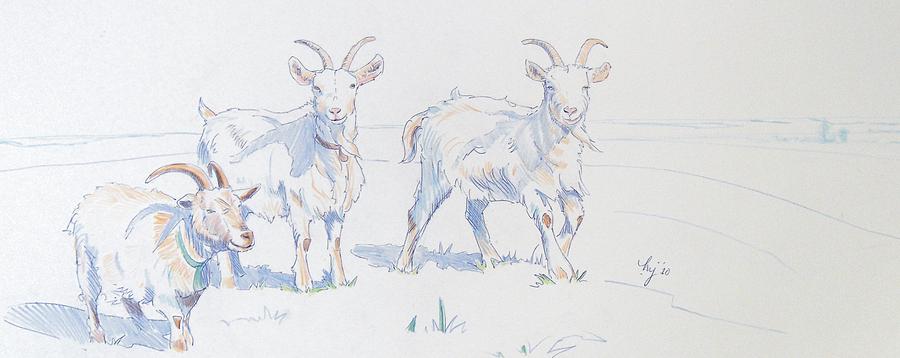 Goat Drawing - Goats by Mike Jory