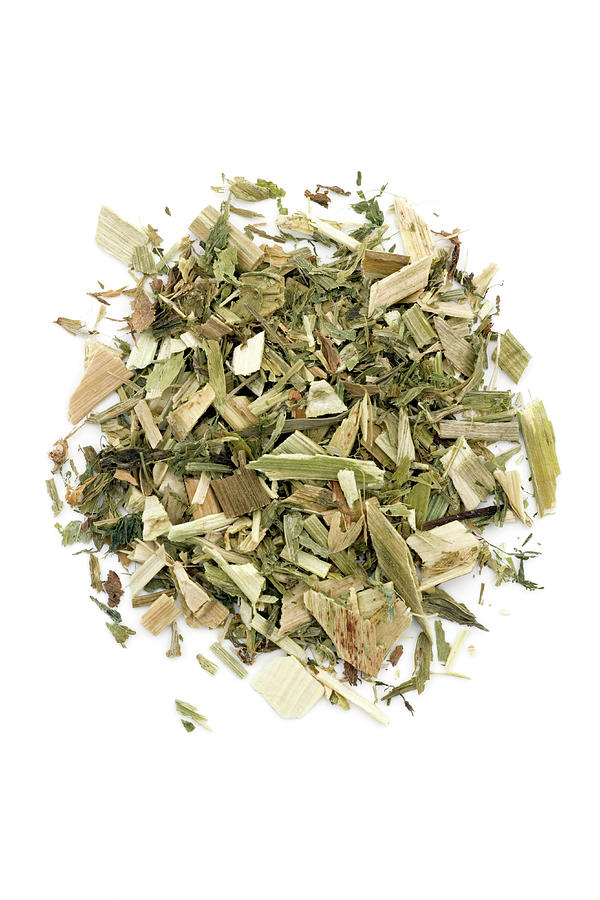 Goats Rue Herb Photograph by Science Photo Library Goats Rue Herb Photograph by Science Photo Library