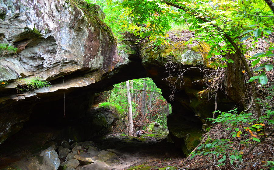 Gobblers Arch Photograph by Stacie Siemsen