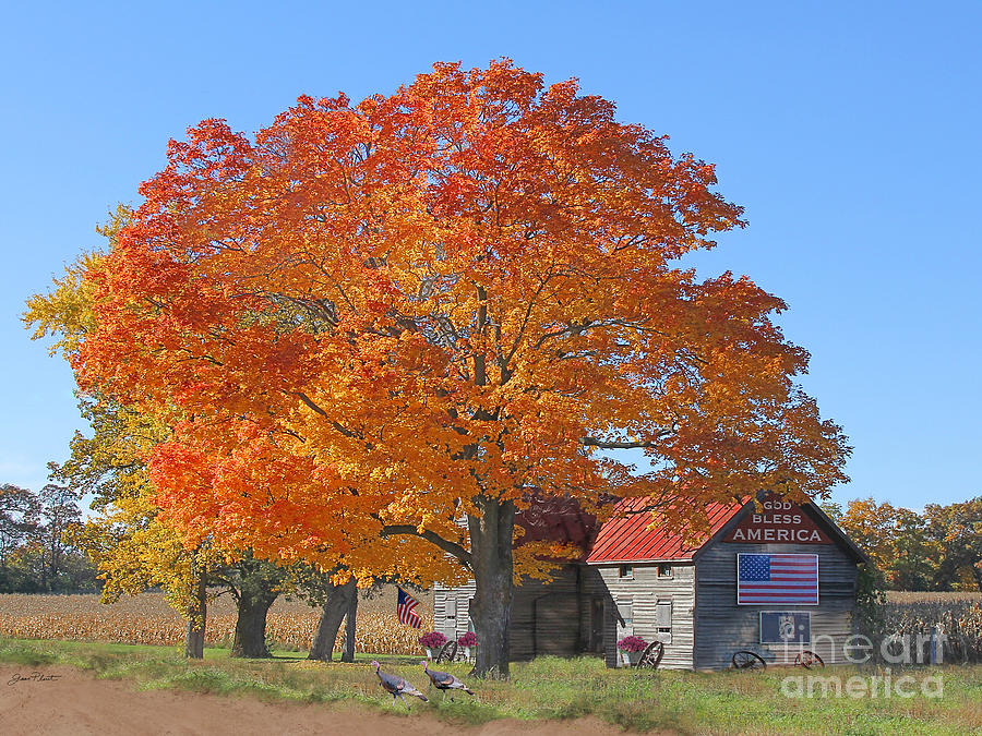 God Bless America-Autumn Photograph by Jean Plout