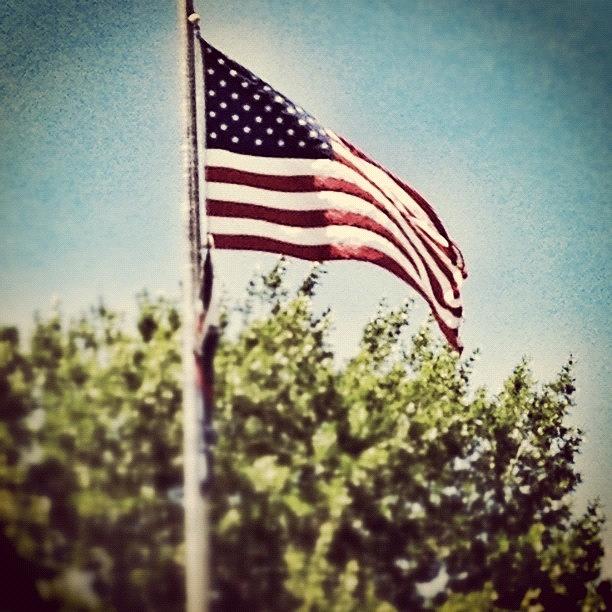 Independence Day Photograph - America by Janae Cordova