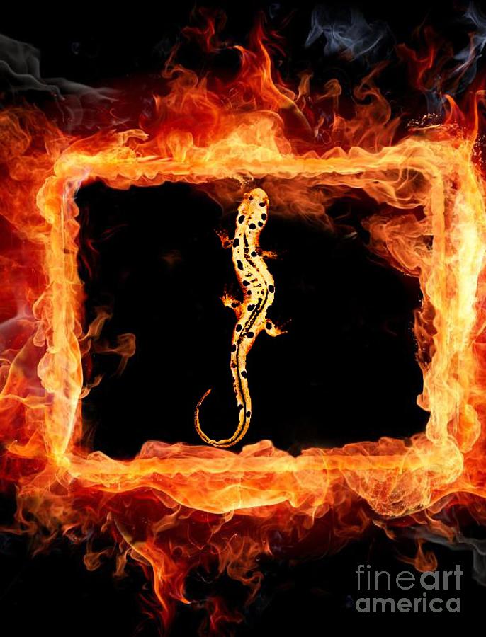 God Created Fire Digital Art by Steven  Pipella