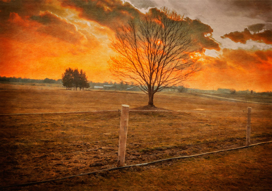 Tree Photograph - God Light Textured by Garvin Hunter