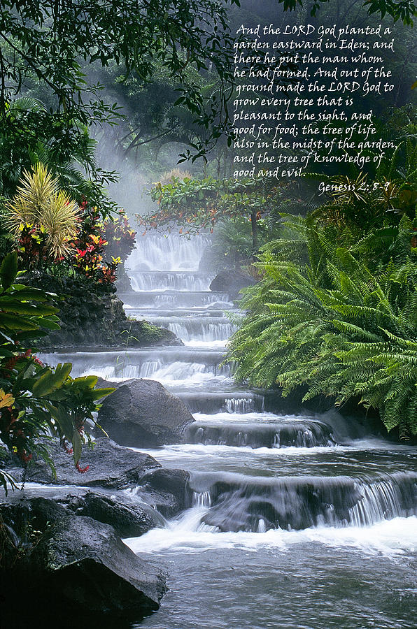 God Planted A Garden Photograph By Buddy Mays | Fine Art America