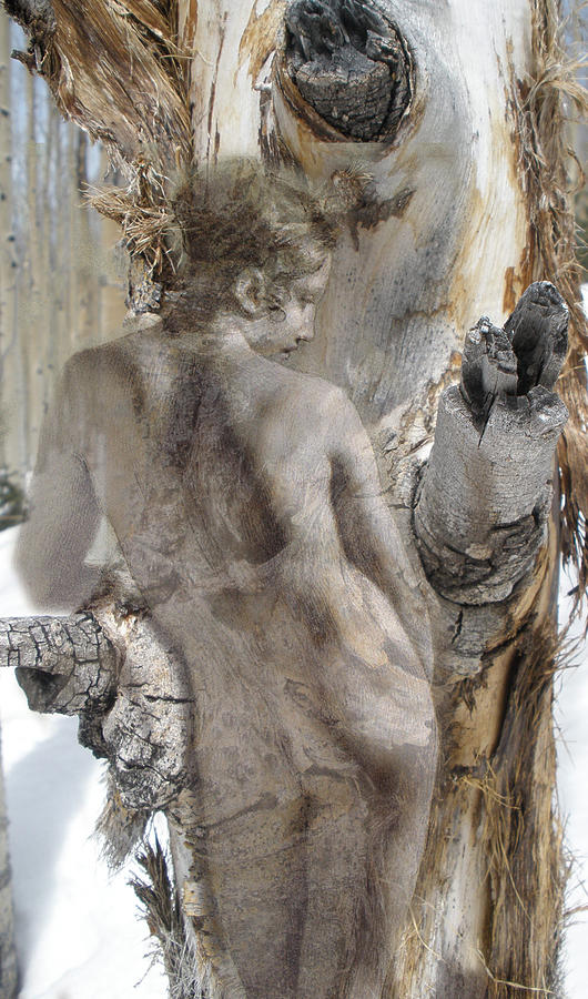 Goddess of the Tree Digital Art by Catherine Weser