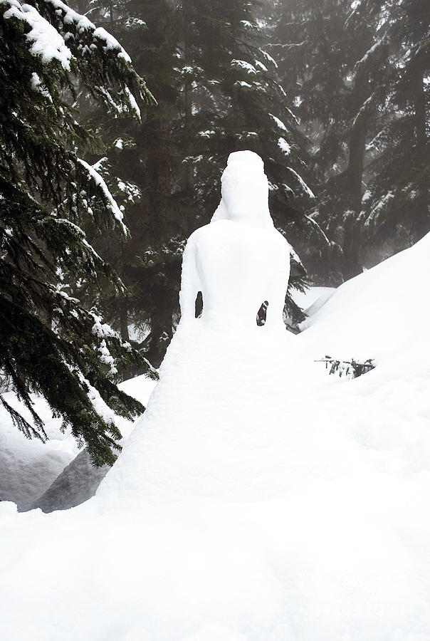 Goddess of Winter Photograph by Bill Thomson