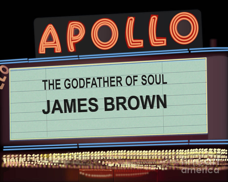 James Brown Digital Art - Godfather of Soul by Michael Lovell