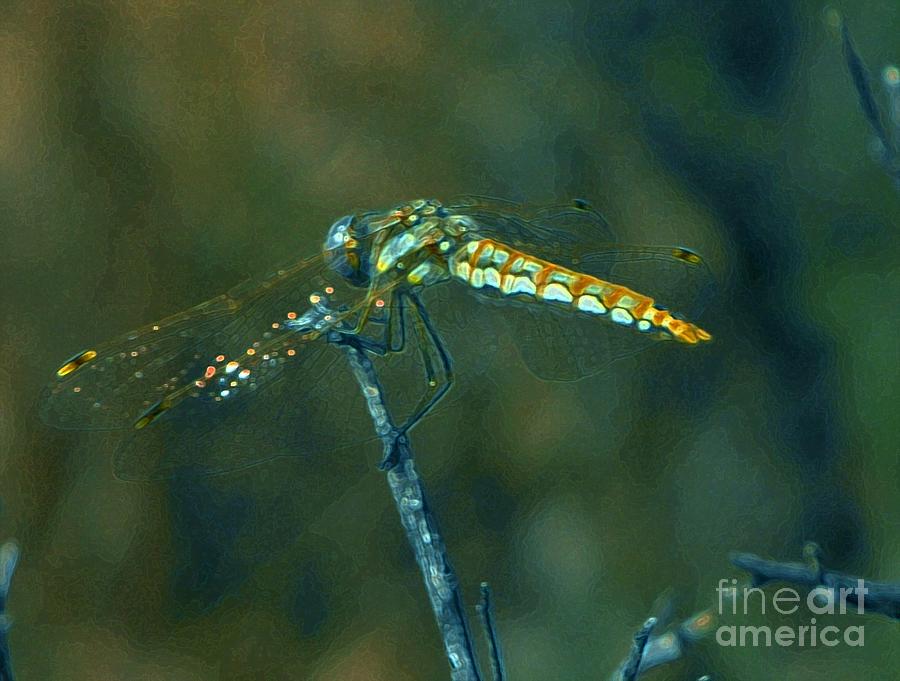 Golden Dragon Fly Digital Art by Annie Gibbons