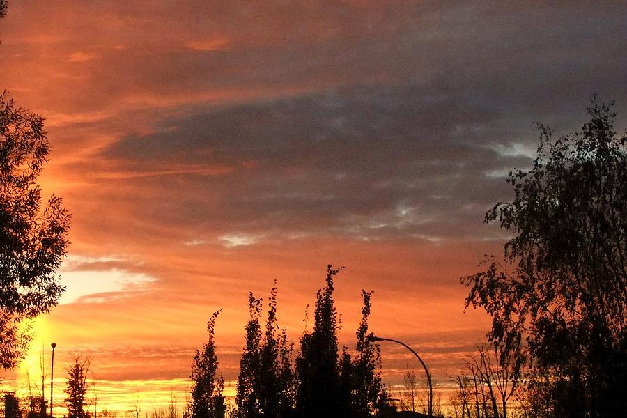 Sunset Photograph - Gods Blessing by Rose Szautner