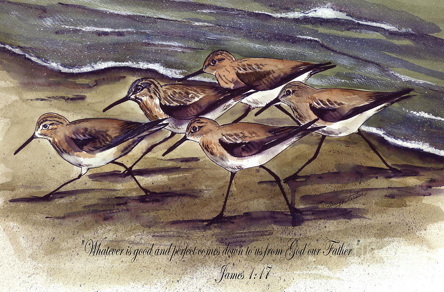 Sandpiper Painting - Gods Creation  by Nancy Patterson