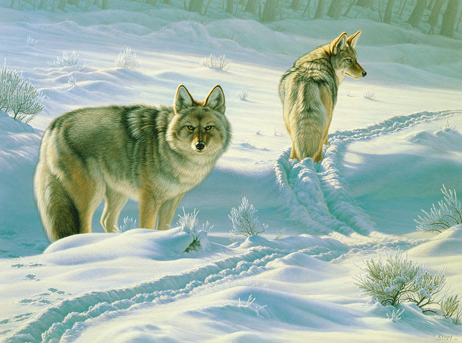 Wildlife Painting - Gods Dogs by Paul Krapf
