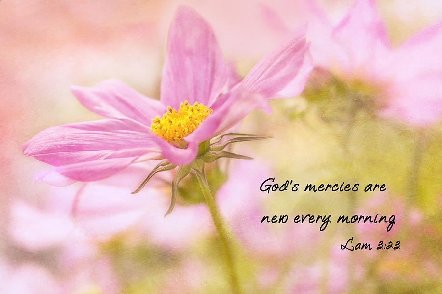 Gods Mercies Photograph by Mary Jo Allen
