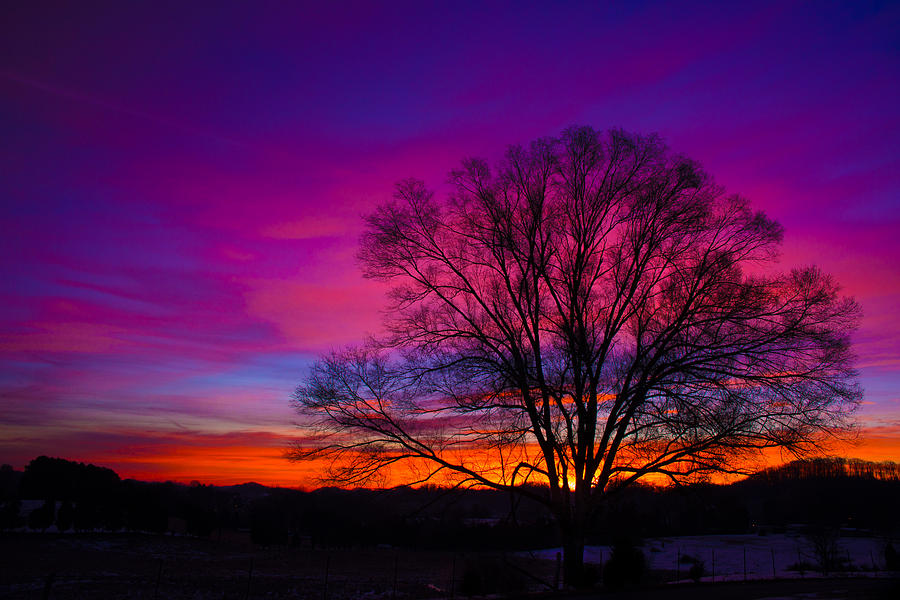 Tree Photograph - Gods Painted Sunrise by Griffeys Sunshine Photography
