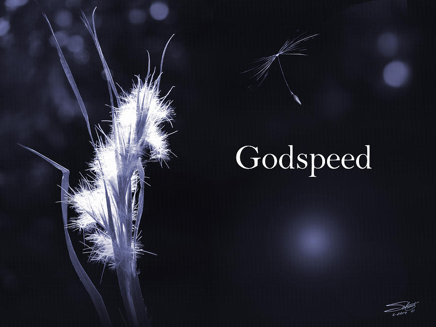 Godspeed Photograph by M Spadecaller