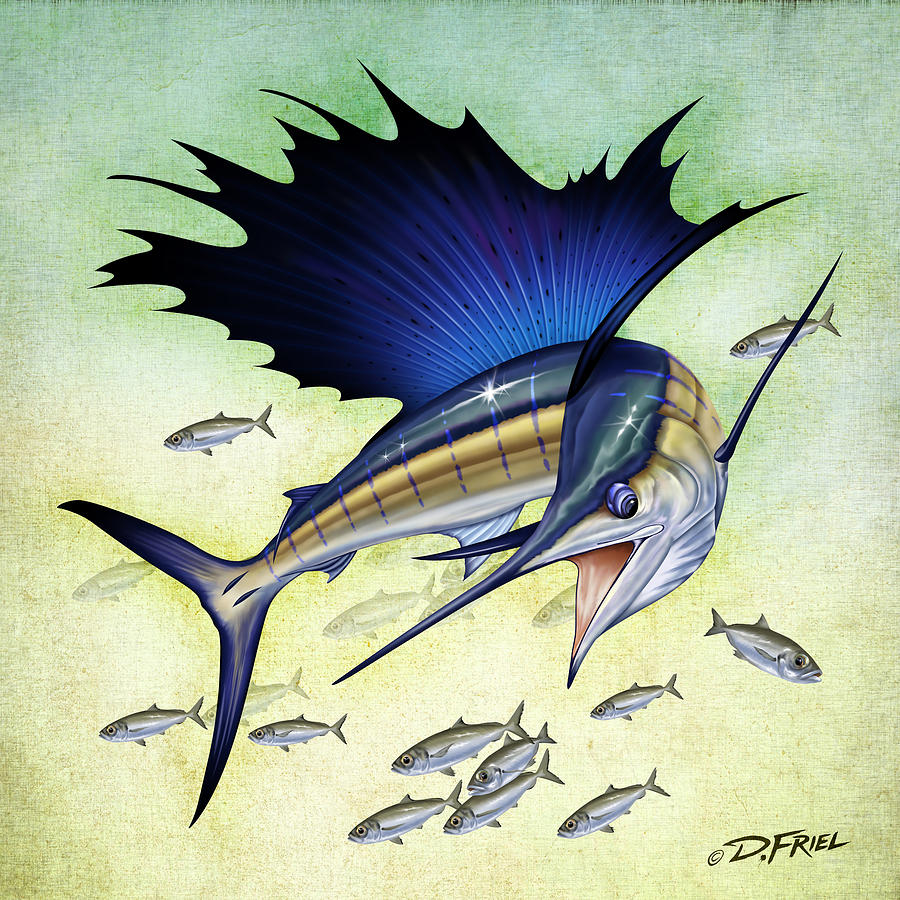 Goggle Eye Sailfish Drawing by Dennis Friel