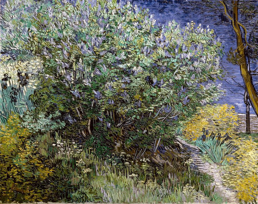 Gogh, Vincent Van 1853-1890. Lilac Photograph by Everett