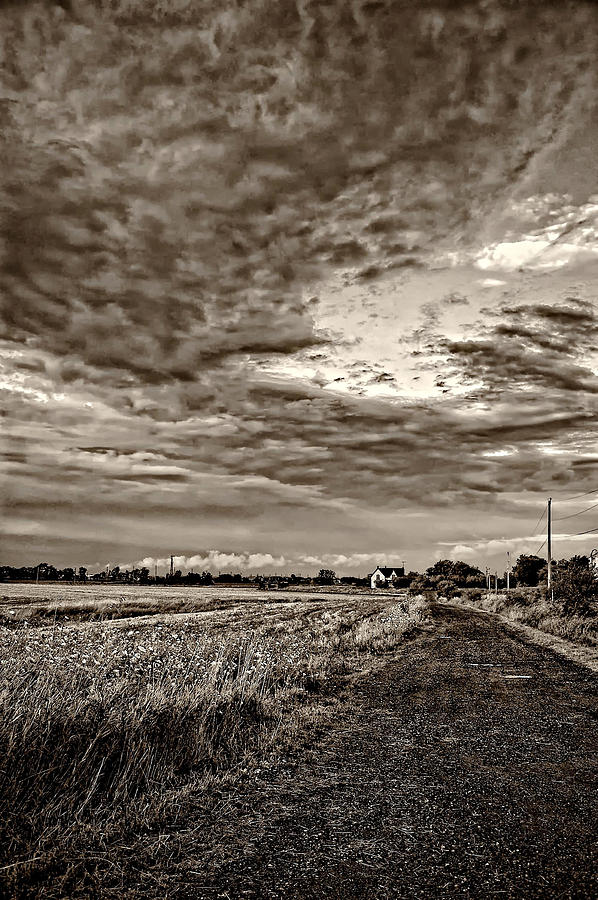 Farm Photograph - Goin Home sepia by Steve Harrington