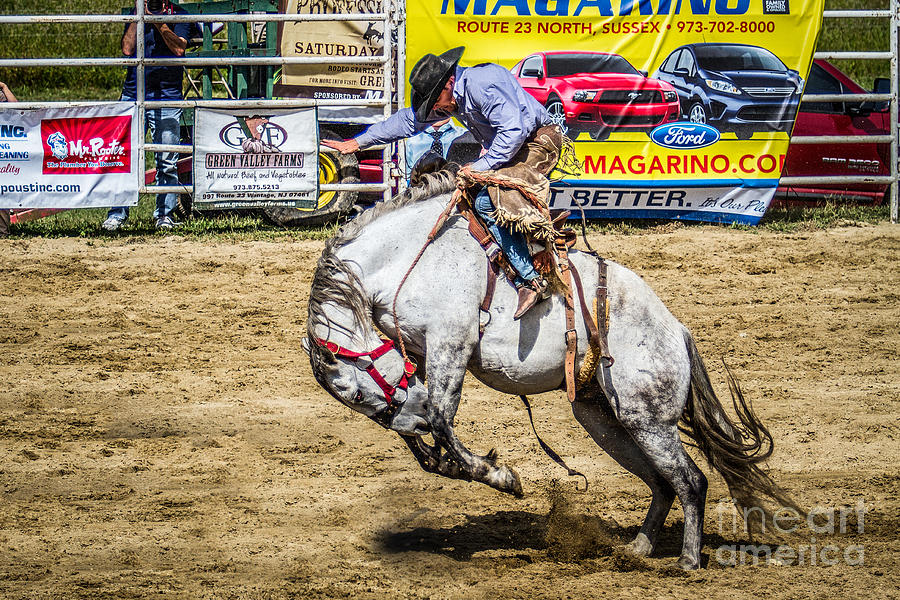 Going for a Ride Saddle Bronc Riding Cowboy Western Photograph by Eleanor Abramson