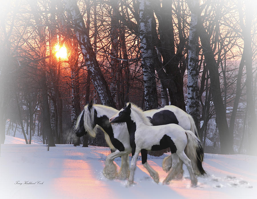 Going Home For the Holidays Digital Art by Terry Kirkland Cook