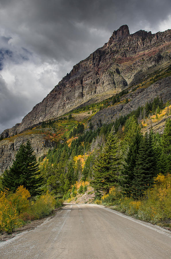 Going to the Sun Road Photograph by Greg Nyquist