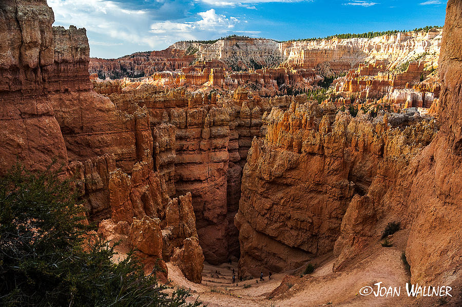 Bryce National Park Photograph - Going to Wall Street by Joan Wallner