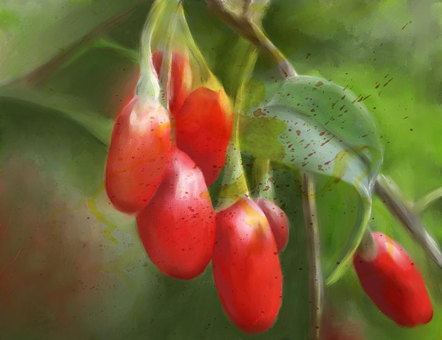 GoJo Berries Painting by Colleen Taylor