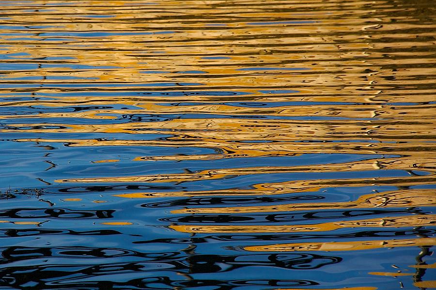 Gold and Blue Abstract Photograph by Stuart Litoff