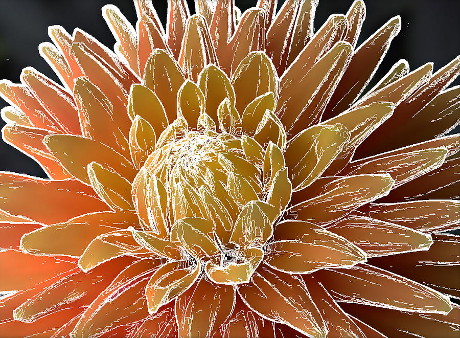 Gold and Orange Dahlia - Digital Art Photograph by Ellen Tully
