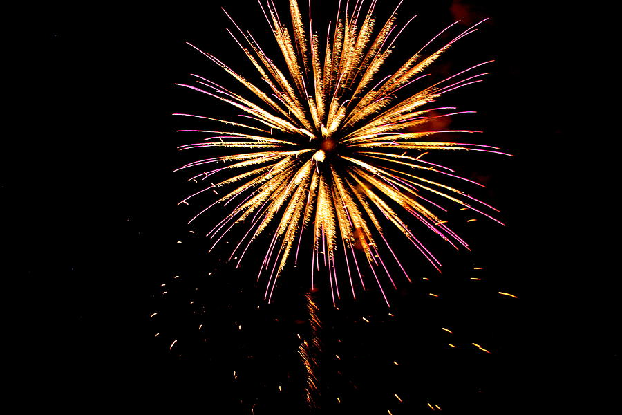 Gold and Purple Fireworks Photograph by Andy Wingerd | Pixels