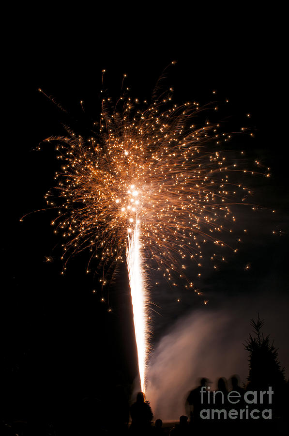 Salem Photograph - Gold and White Fireworks by M J