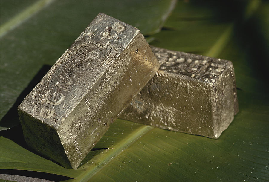 Gold Bars From Fiji Photograph by Jack Fields