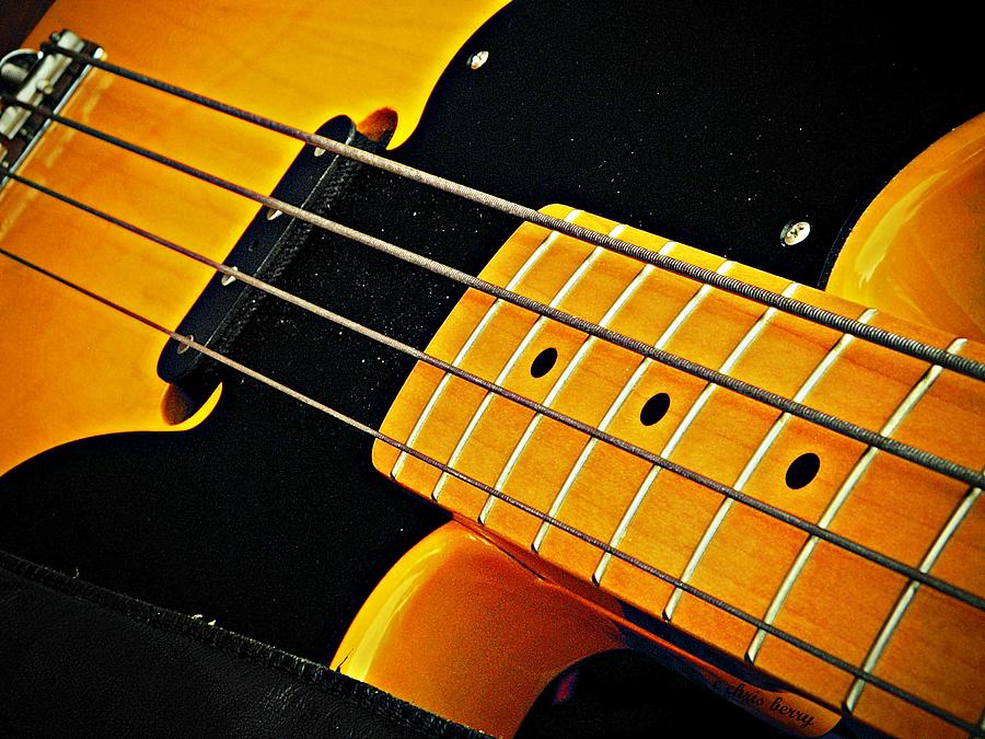 Bass Photograph - Gold Bass and Strings  by Chris Berry