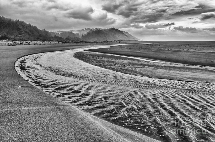Gold Bluffs Beach Photograph - Gold Bluffs Beach is located in the Prairie Creek Redwoods State in Black and White. by Jamie Pham