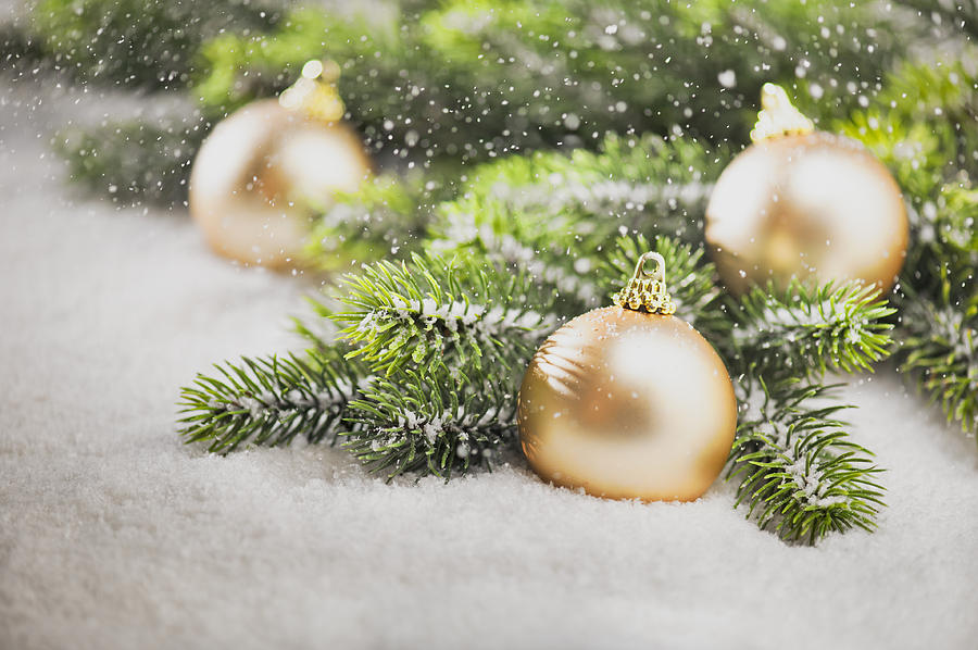 Gold Christmas tree bauble with Christmas tree branches Photograph by U Schade
