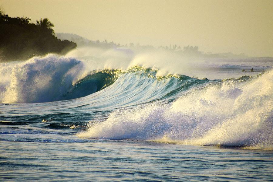 Gold Crested Surf Photograph by Lori Seaman